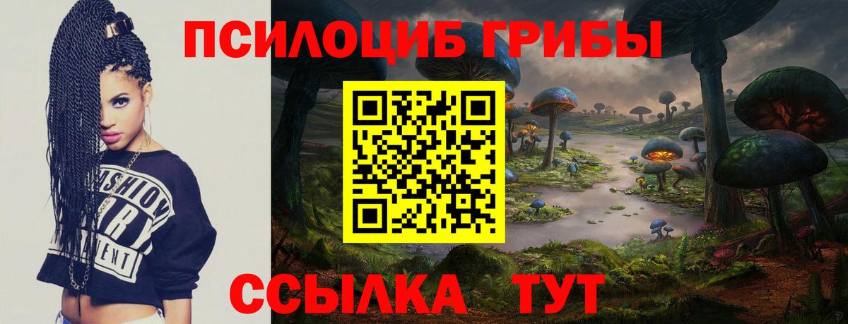 Галлюциногенные грибы MAGIC MUSHROOMS  Вход с VPN  Галлюциногенные грибы MAGIC MUSHROOMS  Химки 